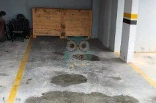 Apartamento para venda, 2 quarto(s),  Roça Grande, Colombo - Foto 3