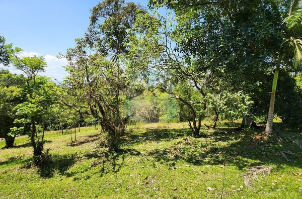 Casa para venda, 3 quarto(s),  Alexandra, Paranaguá - Foto 11
