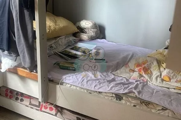 Apartamento para venda, 2 quarto(s),  Campo Pequeno, Colombo - Foto 5