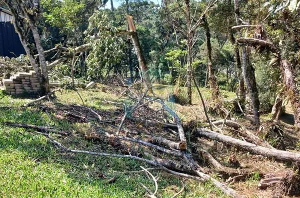 Chácara para venda,  Campina, Tijucas Do Sul - Foto 6