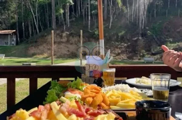 Chácara para venda, Jardim Paulista, Campina Grande Do Sul - Foto 7