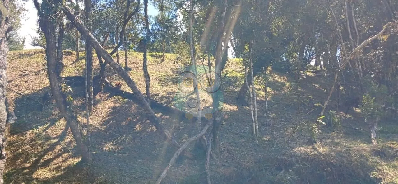 Chácara para venda,  Campina, Tijucas Do Sul - CH126