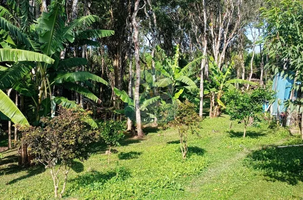 Chácara para venda, 2 quarto(s),  , Tijucas Do Sul - Foto 8