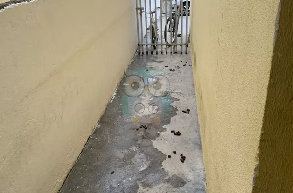 Casa em condomínio para venda, 2 quarto(s),  Jardim Paulista, Campina Grande Do Sul - Foto 14