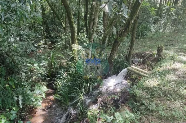 Chácara para venda,  Jardim Agua Boa, Campo Magro - Foto 5