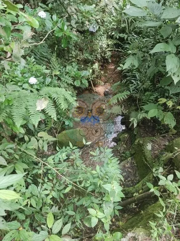 Chácara para venda,  Jardim Agua Boa, Campo Magro - CH108