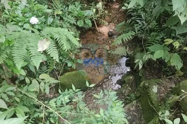 Chácara para venda,  Jardim Agua Boa, Campo Magro - Foto 3