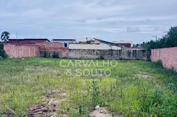 Terreno para aluguel,  - Selecione - Bairro, Teixeira De Freitas