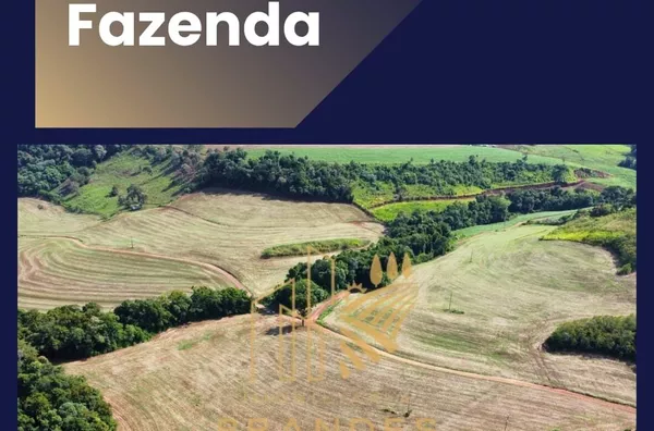 Fazenda  para venda 5.5 alqueires em planalto 