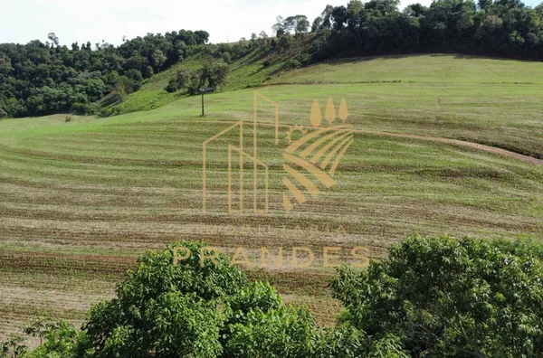 Fazenda  para venda 5.5 alqueires em planalto 