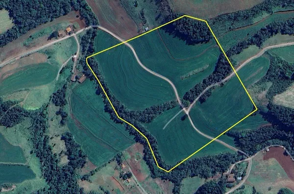 Fazenda  para venda 5.5 alqueires em planalto 
