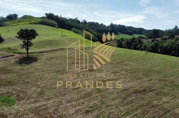 Fazenda  para venda 5.5 alqueires em planalto 