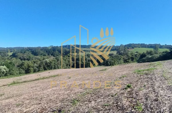 Sítio para venda,  Rural, Bela Vista Da Caroba