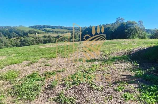 Sítio para venda,  Rural, Bela Vista Da Caroba