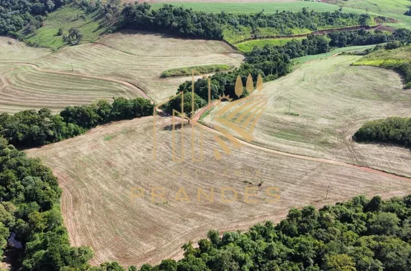 Fazenda  para venda 5.5 alqueires em planalto 