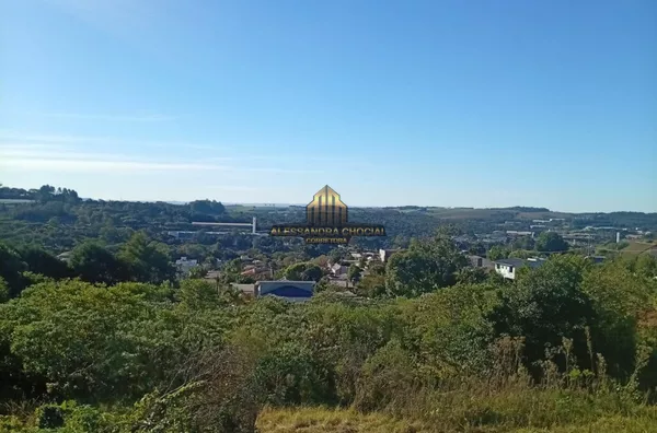 Terreno  12,5m de frete x 29m  362,5m2 todo murado nível da rua 