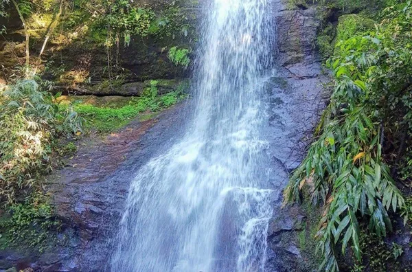 Chácara para venda, 4 quarto(s),  Pinhal Alto, Nova Petropolis
