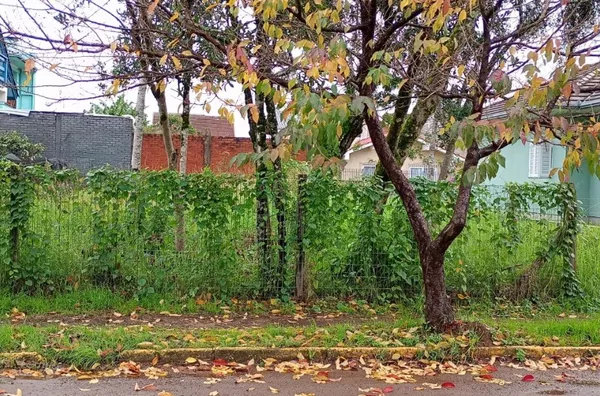 Terreno para venda,  Pousada Da Neve, Nova Petropolis