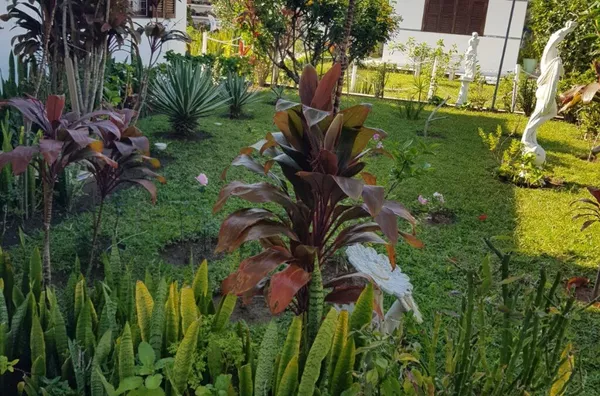 Conjunto de casas em 5 LOTES para venda,  Itapirubá, Laguna-sc