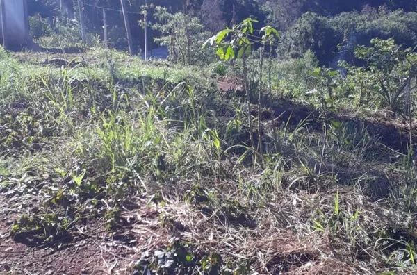 Terreno para venda,  Piá, Nova Petropolis