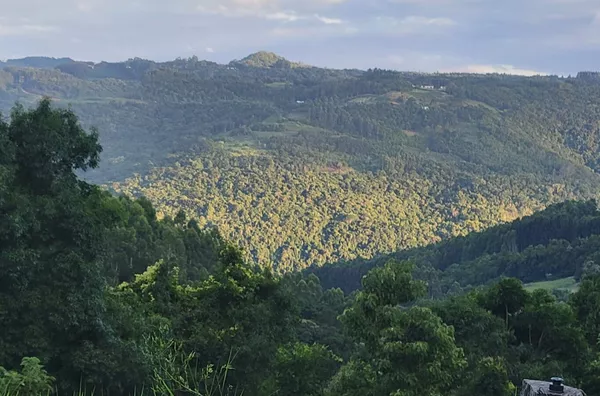 Chácara para venda, 4 quarto(s),  Pinhal Alto, Nova Petropolis
