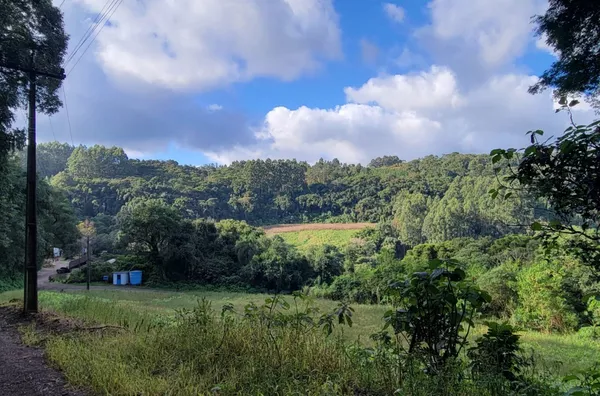 Chácara para venda, 4 quarto(s),  Pinhal Alto, Nova Petropolis