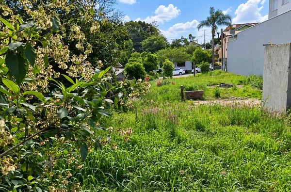 Terreno para venda,  Logradouro, Nova Petropolis
