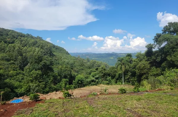 Chácara para venda, 4 quarto(s),  Pinhal Alto, Nova Petropolis