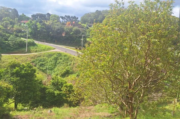 Terreno para venda,  Vila Olinda, Nova Petropolis