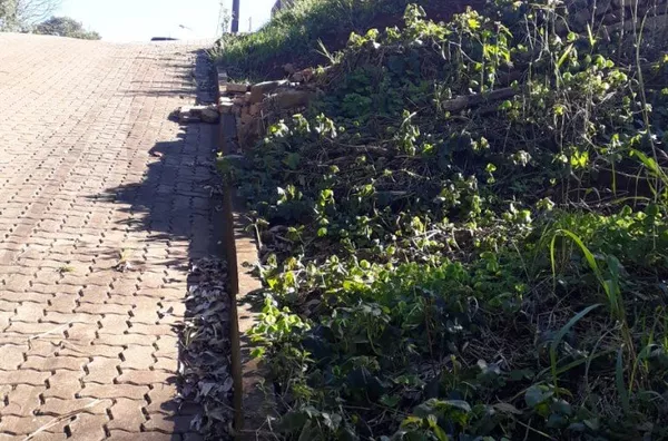 Terreno para venda,  Piá, Nova Petropolis