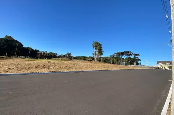 Terreno para venda,  Logradouro, Nova Petropolis