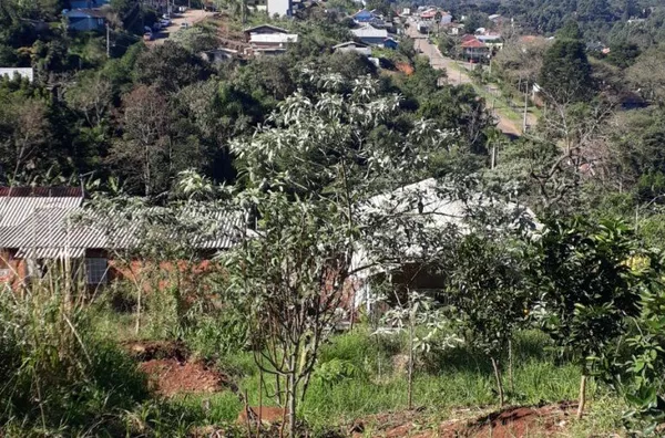 Terreno para venda,  Piá, Nova Petropolis