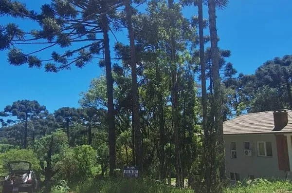 Terreno para venda,  Linha Imperial, Nova Petropolis