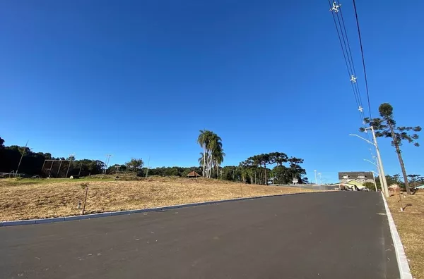 Terreno para venda,  Logradouro, Nova Petropolis