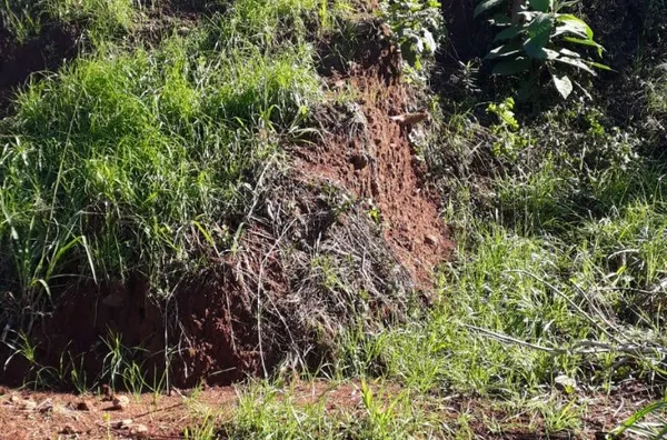 Terreno para venda,  Piá, Nova Petropolis