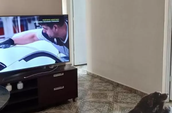 Apartamento para Venda em Jandira / SP no bairro Jardim Sol Nascente