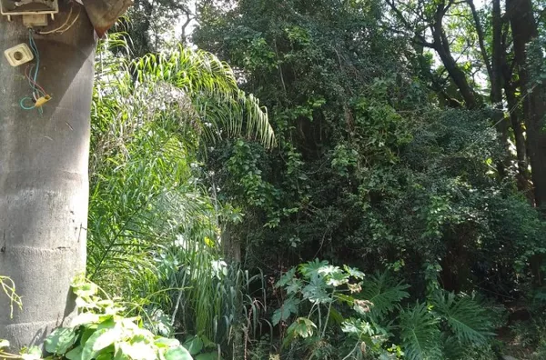 Terreno para Venda em Barueri / SP no bairro Vila Engenho Novo