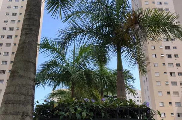 Apartamento para Venda em Barueri / SP no bairro Vila São João