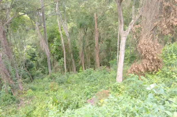 Terreno para Venda em Araçariguama / SP no bairro tanque velho