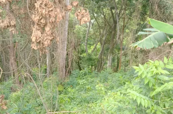 Terreno para Venda em Araçariguama / SP no bairro tanque velho