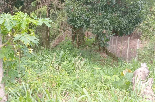 Terreno para Venda em Araçariguama / SP no bairro tanque velho