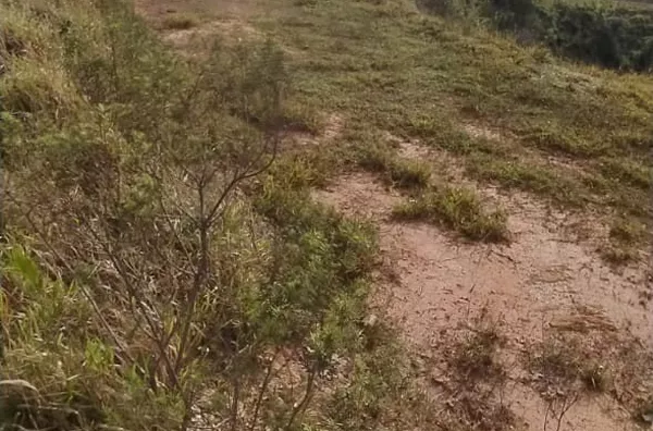 Terreno para venda,  Santa Ella, Araçariguama