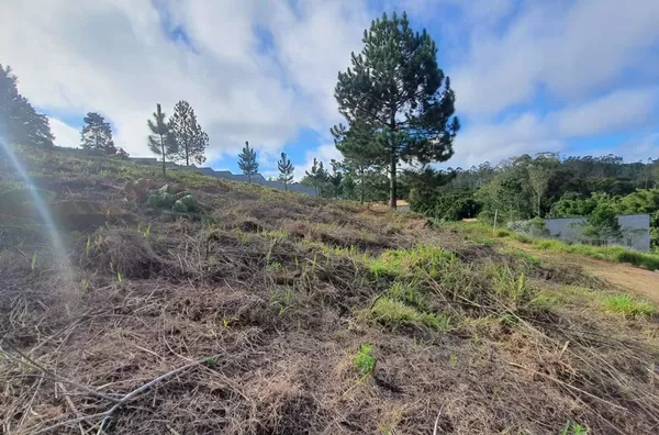 Terreno para Venda, 1000 m² por R$ 150.000,00, Vila Moraes, Mogi Das Cruzes - Foto 1