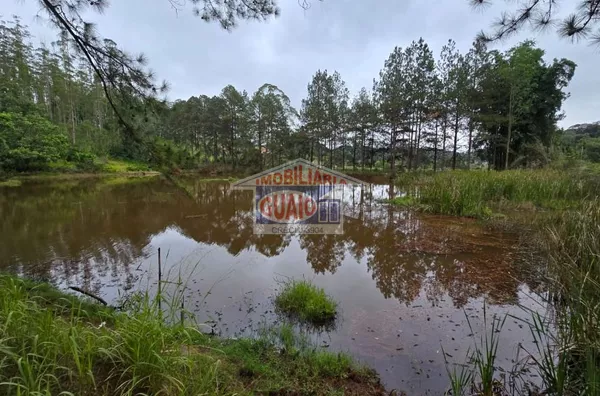 Sítio com 5 chalés à venda, 242000 m² por R$ 7.000.000 - Chácara Sete Cruzes - Suzano/SP - Foto 3