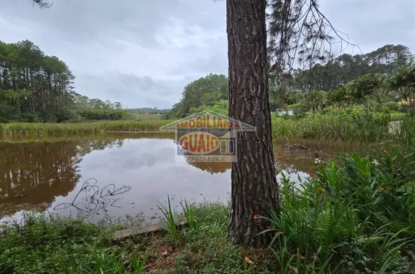 Sítio com 5 chalés à venda, 242000 m² por R$ 7.000.000 - Chácara Sete Cruzes - Suzano/SP - Foto 4
