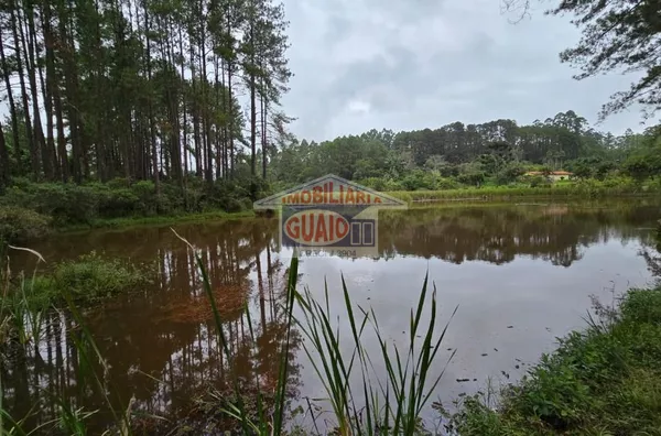 Sítio com 5 chalés à venda, 242000 m² por R$ 7.000.000 - Chácara Sete Cruzes - Suzano/SP - Foto 2