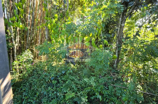 Chácara para Venda, Terreno com 1310 m² por R$ 390.000,00 no Bairro Chácaras Ceres, Suzano - Foto 3