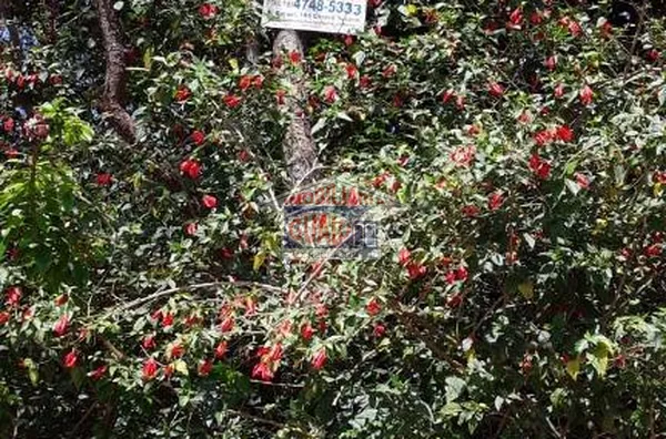 Terreno à venda, 573 m² por R$ 240.000,00 - Jardim Pompéia - Suzano/SP - Foto 2