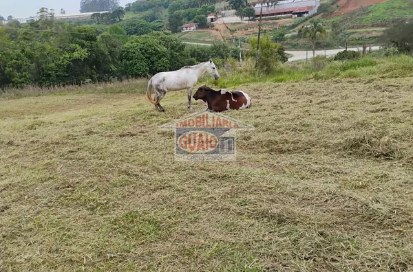 Sítio à venda, 36000 m² por R$ 1.620.000 - Jardim Dora - Suzano/SP - Foto 2