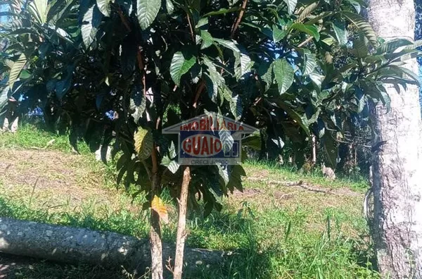 Chácara com 1780 m² com casa para venda por R$ 190.800,00 - Taiaçupeba - Mogi das Cruzes/SP - Foto 4